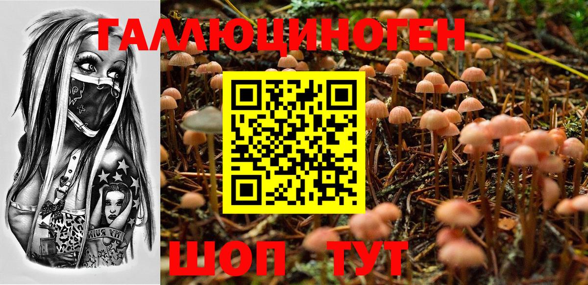 Нижнекамск  Галлюциногенные грибы Cubensis  Галлюциногенные грибы Psilocybine cubensis  Вход с VPN 