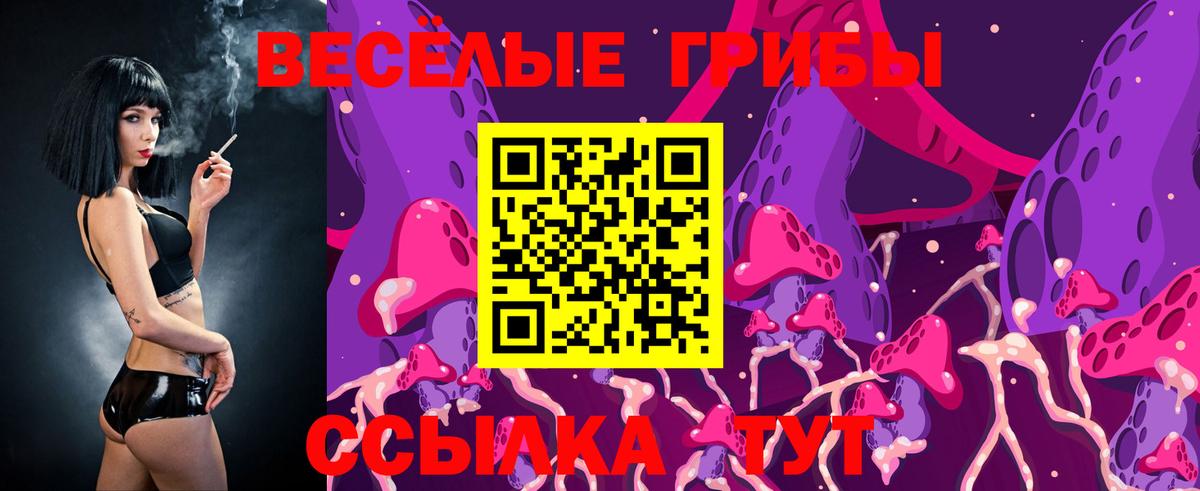 Псилоцибиновые грибы мицелий Нижнекамск